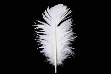 Single white feather on black background with elegant, feathery texture and sense of depth, in monochrome.