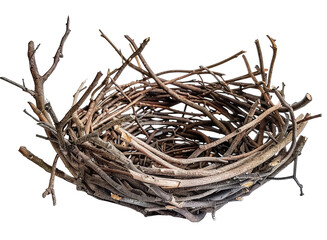 Empty bird's nest made of isolated branches on a transparent background. high resolution PNG file