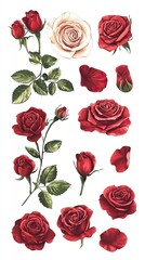  Valentine’s Rose and Floral Graphic Elements Set, Red Roses and Floral Bouquets,Valentine’s Day, Day of Love