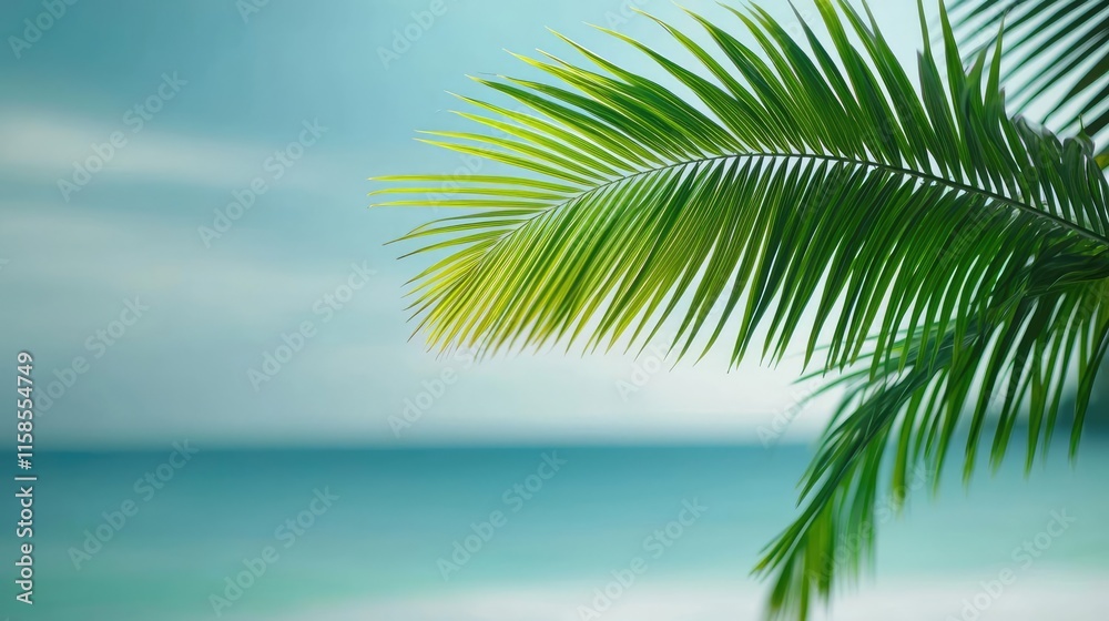 Aufkleber palm leaves abstract background concept. a tranquil view of a palm leaf against a serene blue ocean 