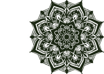 Beautiful flower art and mandala vector design