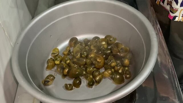 A pot containing small, cooked snails being stirred with a spoon.