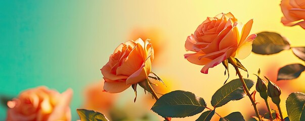 Rose leaves abstract background concept. Beautiful orange roses blooming in a vibrant garden under soft sunlight.