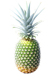 Fototapeta premium Pineapple (Ananas comosus) A tropical plant known for its spiky, rosette-shaped leaves and sweet, edible fruit, the pineapple is commonly