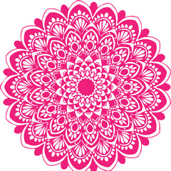 Beautiful flower art and mandala vector design