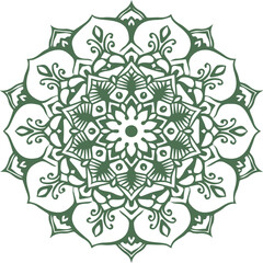 Beautiful flower art and mandala vector design