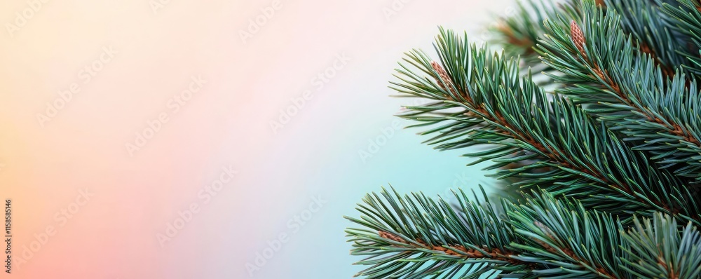 Poster Pine tree abstract background idea. Close-up of lush green pine branches with a soft blurred background.