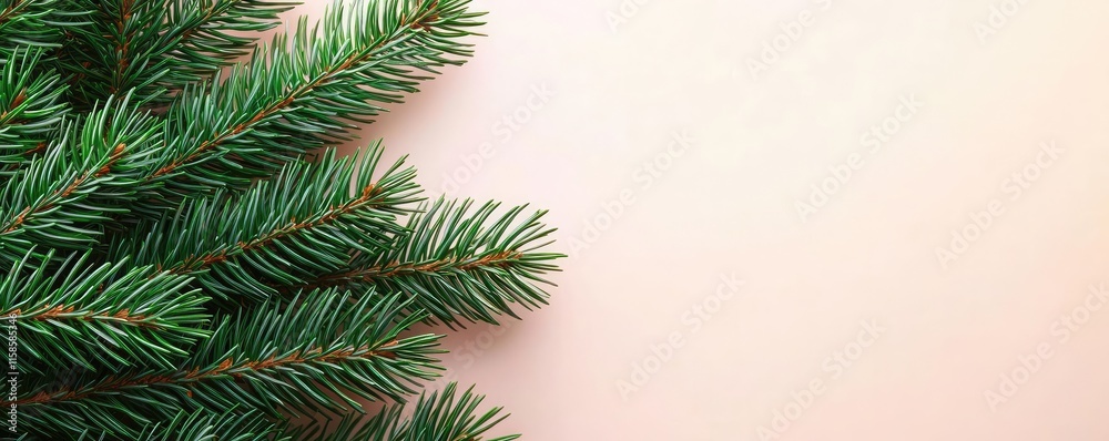 Poster Pine tree abstract background idea. Close-up of lush green pine branches against a soft pink background.