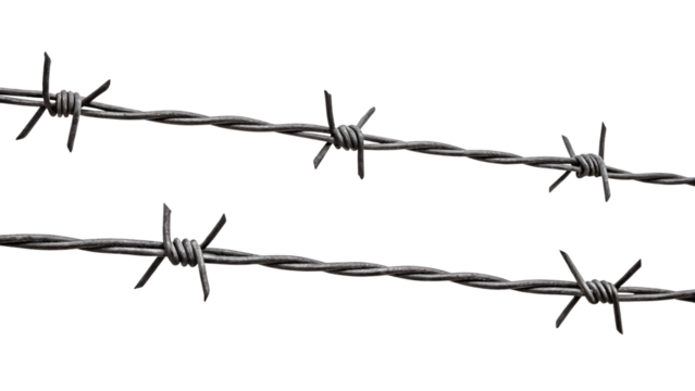 Diagonal rows of tightly wound barbed wire, their weathered texture and pointed edges emphasizing durability and boundary enforcement in a stark industrial design, isolated on a transparent background