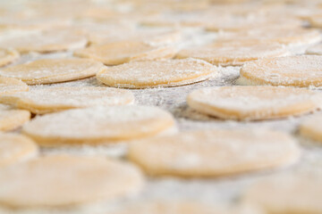 Dough, many cookies. Many cookie doughs cut out in a circle shape on a table, flour. Cookie blanks, dough formed into circles on the production table in the bakery. Process of making cookies