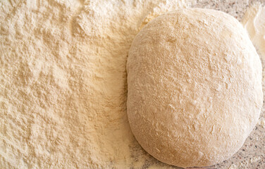 Making pizza dough on board with flour. Raw homemade dough and flour on table. Dough on sourdough closeup. Yeast dough for bread or pizza on a floured surface. Cooking bread. Kneading the dough