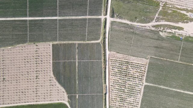 Green Fields on Wide Plain