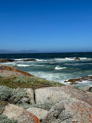 Boulders Beach in Simon's Town, Cape Town, South Africa