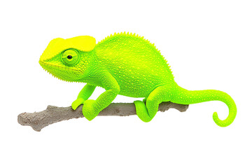 Fototapeta premium A vibrant green chameleon perches on a branch, showcasing its distinctive textured skin and unique color.