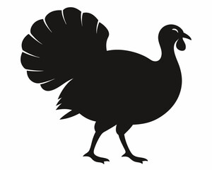 illustration of chicken