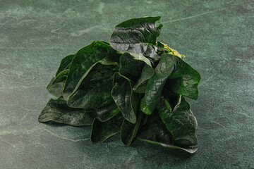 Ripe green spinach leaves heap