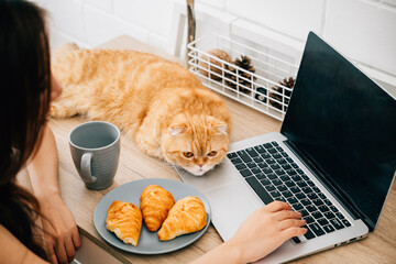 In this portrait, a young woman enjoys the company of her Scottish Fold cat while working diligently on her laptop at her desk, symbolizing the blend of work and pet companionship.