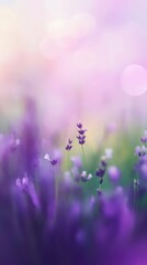 Captivating Lavender Blooms in a Dreamy Pastel Field: A Serene Celebration of Nature’s Beauty Vertical Background