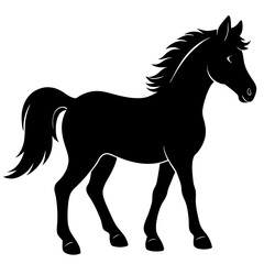 horse silhouette isolated on white