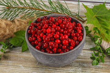Natural organic wild forwst lingonberry