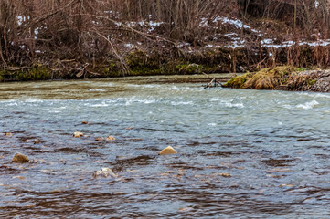Landscapes - Forest - Europe, Romania, Suceava region  