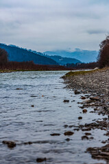 Landscapes - Forest - Europe, Romania, Suceava region  