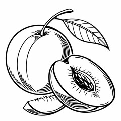 illustration of a peach