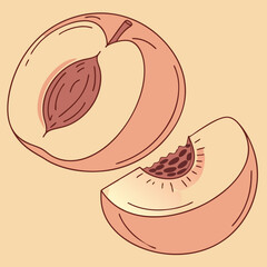 illustration of a peach