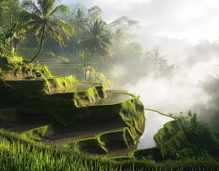 Fotobehang Bali Rice Terraces © Jeerawat
