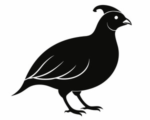 silhouette of a bird