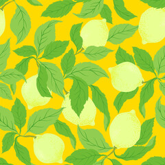 Lemon citrus vector pattern. Botanical vector illustration. Summer background. Floral design.	