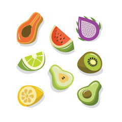 Collection of various fruit slice. Papaya. Watermelon. Dragon fruit. Pear. Citrus. Lemon. Avocado.