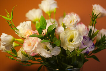 Flowers bouquet in a vase on a brown backdrop
