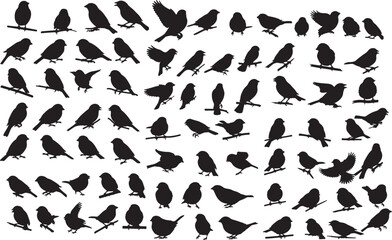 Sparrow Silhouettes Collection