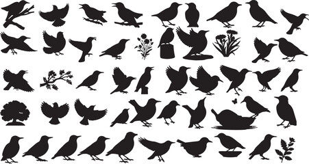 Starling Silhouette Collection
