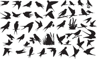 Swallow Silhouette Collection