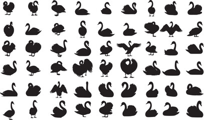 Obraz premium Swan Silhouettes Collection