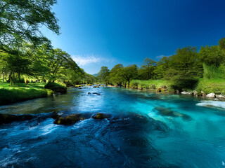 Fototapeta premium Serene river flows through lush green landscape under a vibrant blue sky. Crystal-clear turquoise water glistens, reflecting the sunlight. Rocks and trees line the banks, creating a picturesque scen