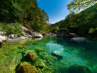 Fototapeta premium Crystal-clear river flows through a lush green valley. Sunlight illuminates the shallows, revealing smooth rocks and vibrant aquatic plants. Tranquil and pristine nature scene.