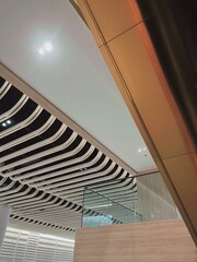 Contemporary Ceiling with Curved Design