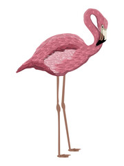 Red American Flamingo. Wild exotic realistic bird