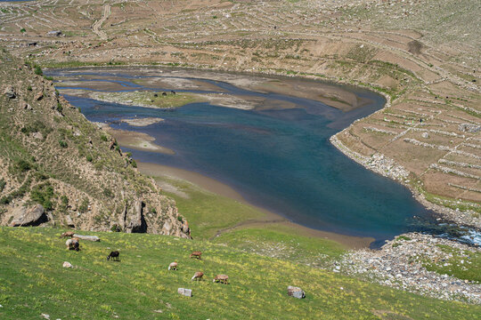 Rural landscape view of colorful Kunhar river in scenic Kaghan valley with grazing sheep, Balakot, Mansehra, Khyber Pakhtunkhwa, Pakistan