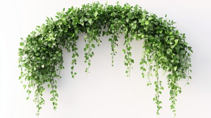 Lush Greenery Hanging on a Minimalist White Wall in a Modern Interior Setting