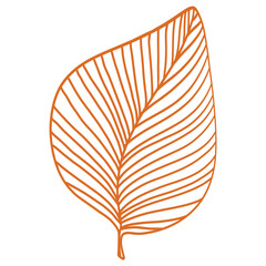 illustration of a leaf