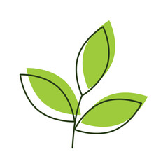 Vector linear illustration of eco tree branch icons on a white background.