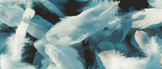 Soft floating feathers create a gentle and serene texture for various design projects