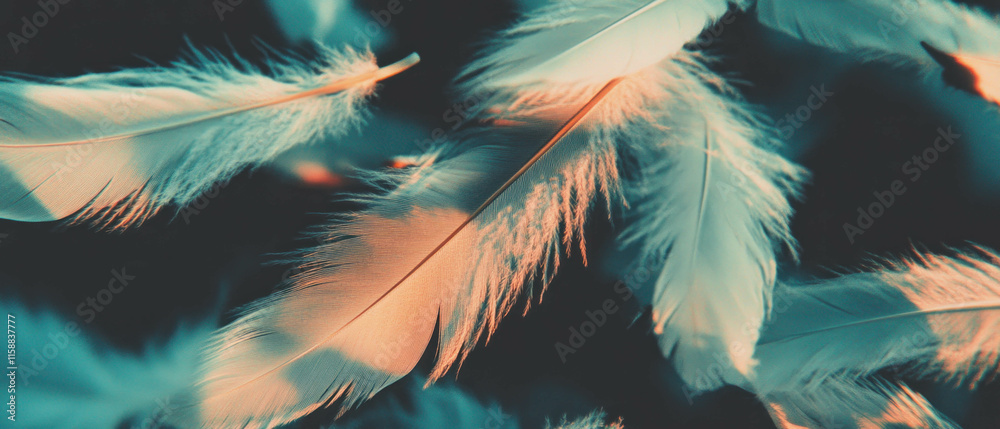 Poster Delicate feather patterns create an elegant overlay texture for artistic designs