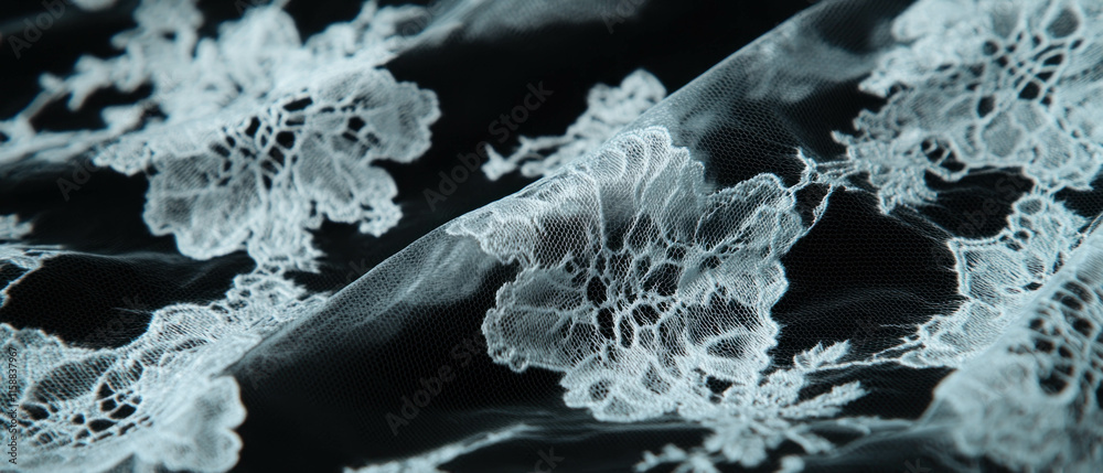 Poster Delicate lace overlay texture with intricate floral patterns on a dark background