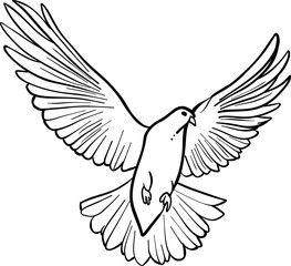 Illustration of a flying dove and eagle with wings spread, featuring bird silhouettes and feathers in a black and white design