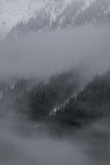 Fototapeta premium Snow covered trees on a mountain with fog in winter. Alberta, Canada